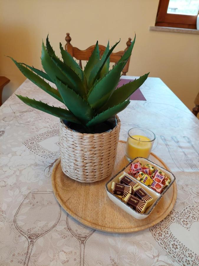 Holiday Home Cancarevic 拉夫纳格拉 外观 照片